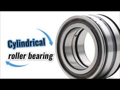 SL045010-D-PP محمل أسطواني أسطواني مزدوج الصف SL045010PP ذو تعبئة كاملة