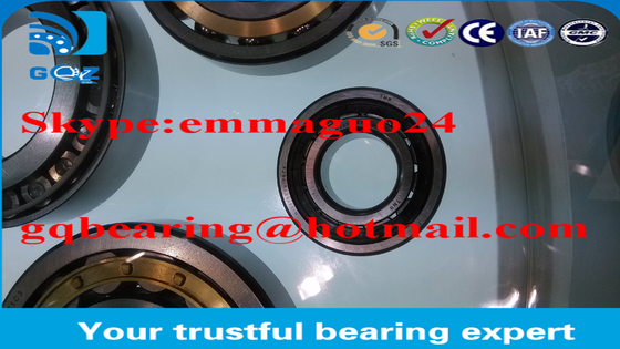حمالة لولبية أسطوانية قفص نايلون NJ2310ETN / P6C4 / BTW NSK GQZ العلامة التجارية