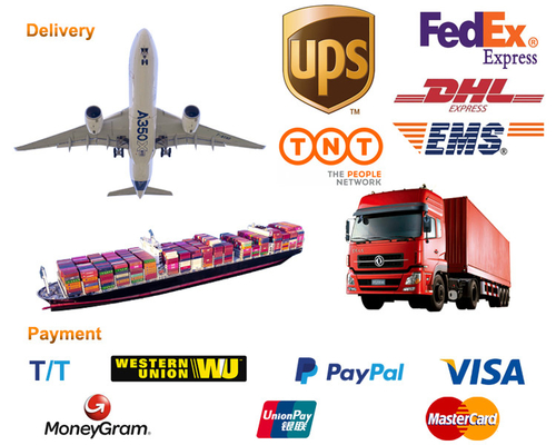 DB69902 إبرة محامل السيارات 5132.56 5179.14 513256 517914 لبيجو 106 مع اهتزاز Z1V1 Z2V2 Z3V3