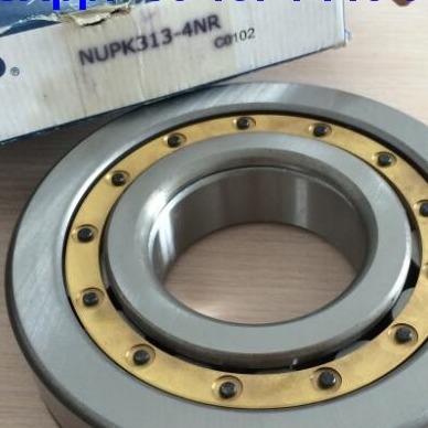 NUP313-4N محامل أسطوانية أسطوانية NUPK313-4NRS02C3 محامل أسطواني مع حلقة snap