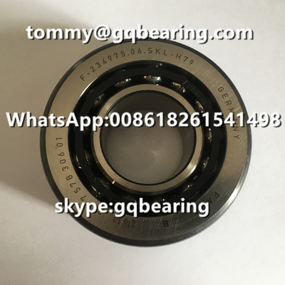مواد الصلب الكرومية FAG F-234975.06 F-234975.06.SKL-H79 بي إم دبليو التفاضل المحرك