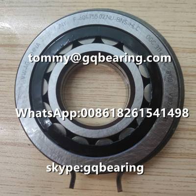 محامل الدوار الأسطواني للسيارات VW AG INA F-604755.02.NU-BNS-HLC مواد الصلب